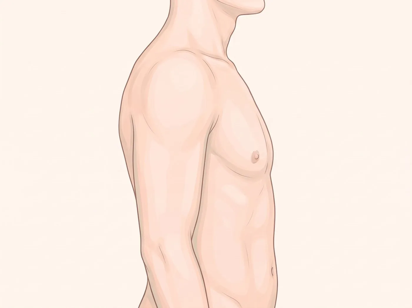 1등급 옆모습 그림 — 유륜 부위만 조금 돌출